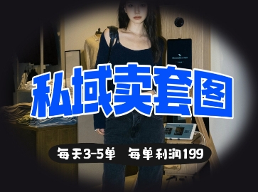 私域卖套图每天3-5单，每单利润99-青年云网创—高质量项目商城
